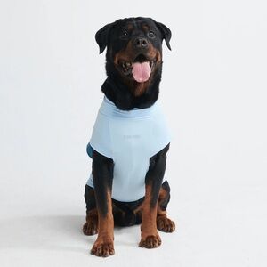 Spark Paws dog T-shirt